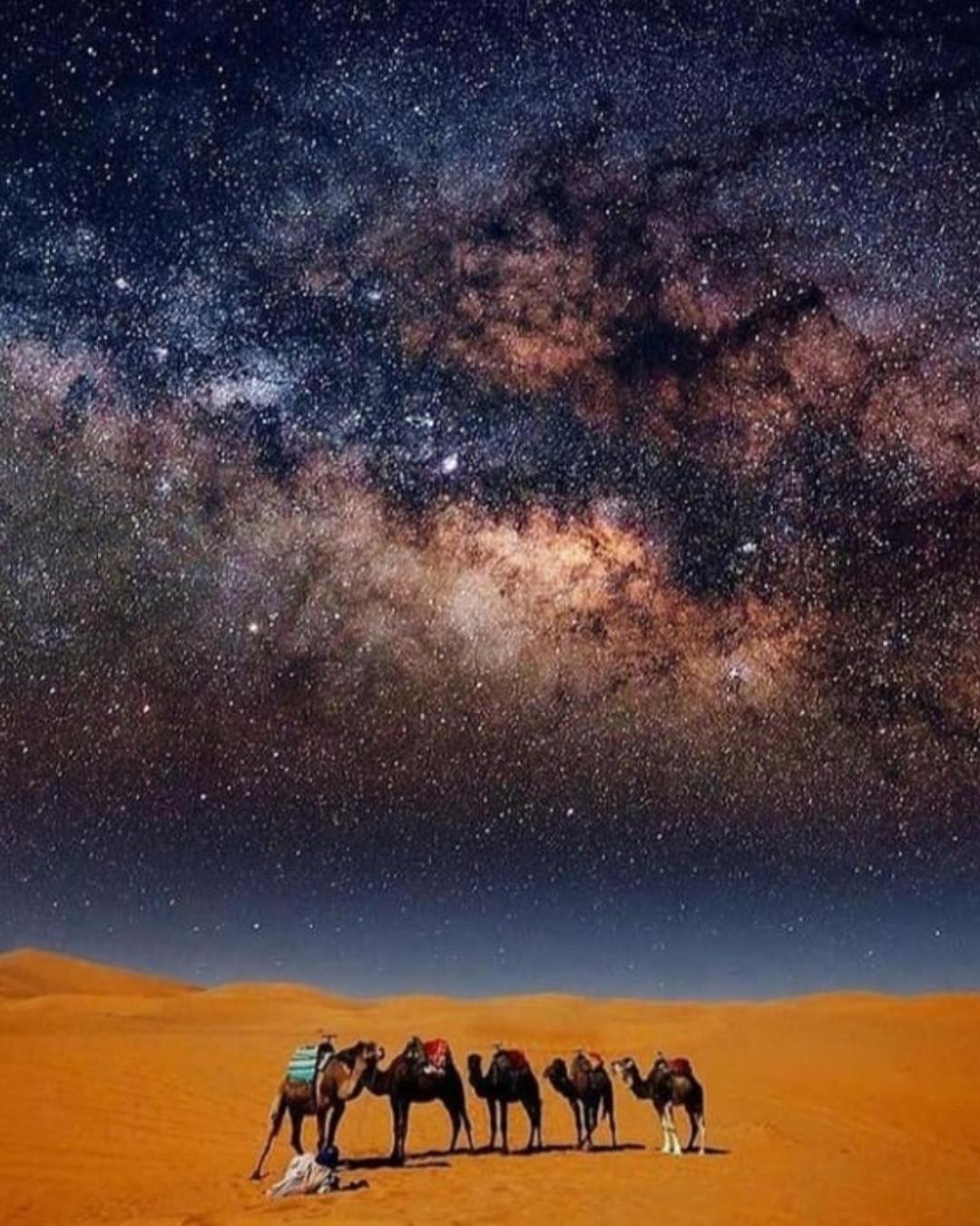 Overnight Desert Camp Мерзуга Экстерьер фото
